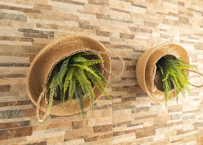 Hotel que admite mascotas: Picnic Dreams Boutique Hostel